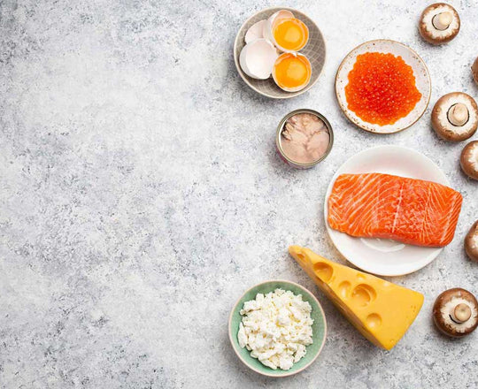 Lachs, Käse, Champignons und Eier auf einem grauen Untergrund