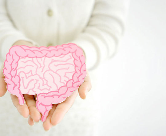 Eine Frau hält eine Abbildung eines Darms in ihren Händen