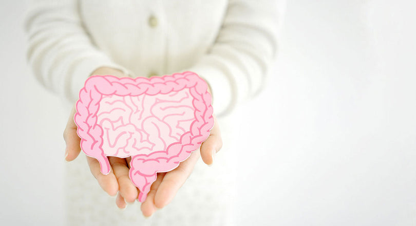 Eine Frau hält eine Abbildung eines Darms in ihren Händen