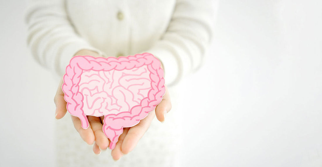 Eine Frau hält eine Abbildung eines Darms in ihren Händen