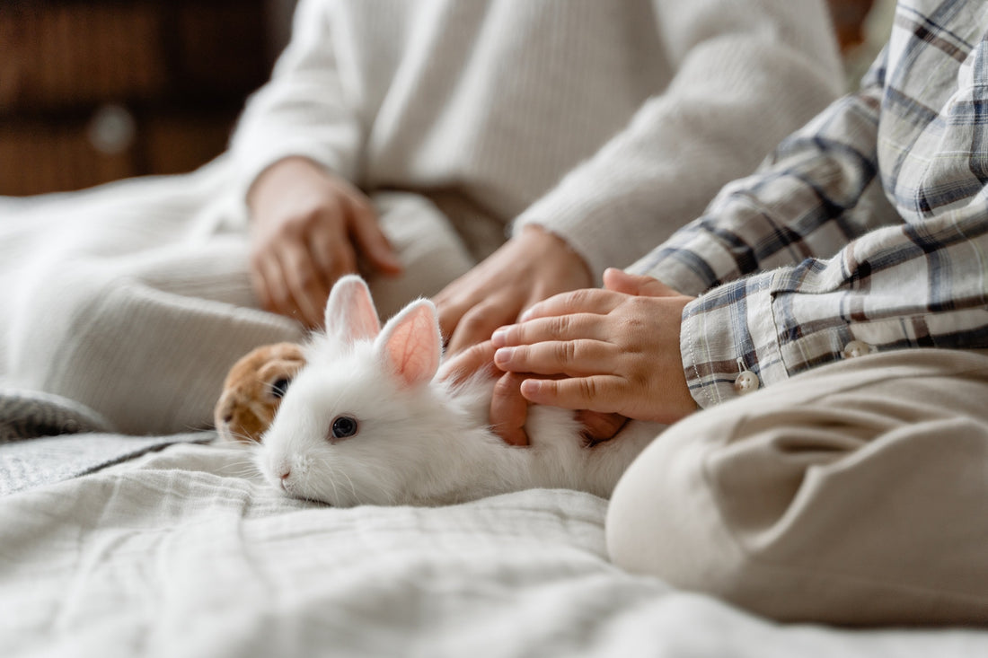 Nachhaltige Ostern